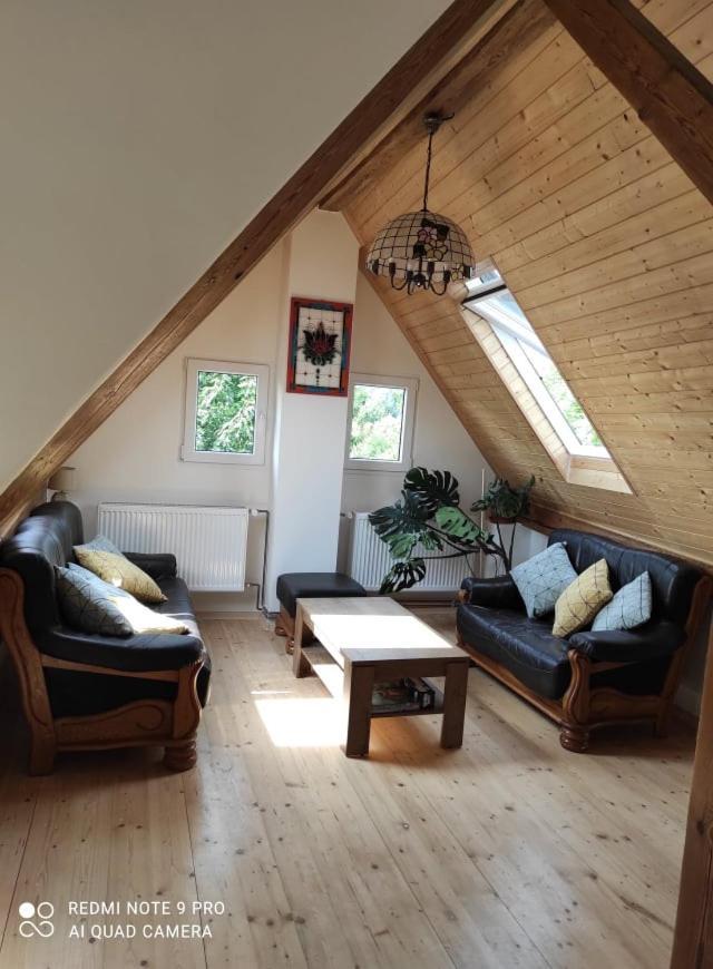 Art-House 4 Attic Apartment Дечин Экстерьер фото
